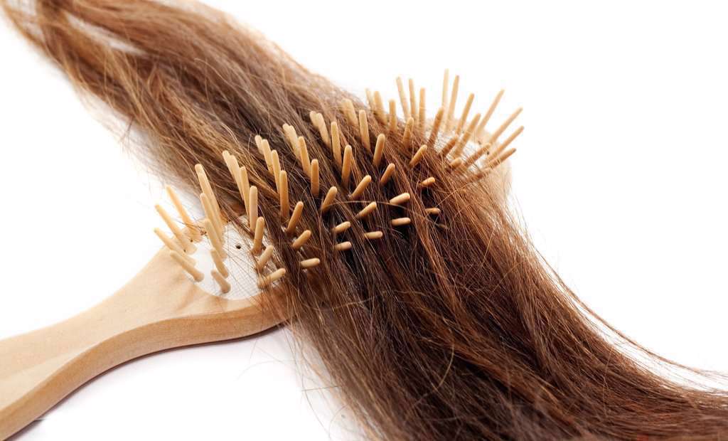 چند روش خانگی برای مراقبت از موها